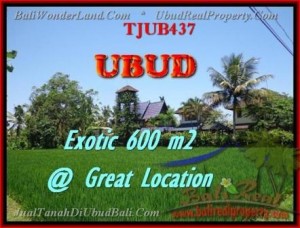 Exotic PROPERTY LAND FOR SALE IN UBUD TJUB437