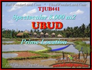 FOR SALE Magnificent PROPERTY 8.000 m2 LAND IN UBUD BALI TJUB441