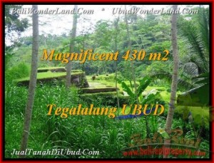 Magnificent 430 m2 LAND IN UBUD BALI FOR SALE TJUB466