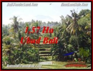 Magnificent UBUD BALI 15,700 m2 LAND FOR SALE TJUB549