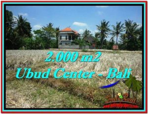 UBUD BALI 2,000 m2 LAND FOR SALE TJUB524