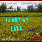 Exotic PROPERTY 15,000 m2 LAND SALE IN Ubud Tegalalang TJUB551