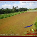 FOR SALE Beautiful PROPERTY 6,100 m2 LAND IN Ubud Tegalalang TJUB552
