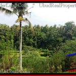 Magnificent 21,800 m2 LAND FOR SALE IN Sentral Ubud TJUB546