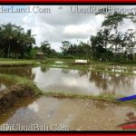 Exotic PROPERTY LAND FOR SALE IN UBUD TJUB547