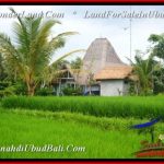 Affordable PROPERTY LAND IN UBUD BALI FOR SALE TJUB541