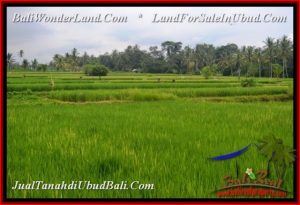 Affordable PROPERTY LAND IN UBUD BALI FOR SALE TJUB541