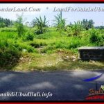Magnificent PROPERTY 3,583 m2 LAND FOR SALE IN Ubud Pejeng BALI TJUB542