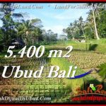 Affordable UBUD BALI 5,400 m2 LAND FOR SALE TJUB554