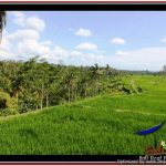 Magnificent LAND FOR SALE IN UBUD TJUB533