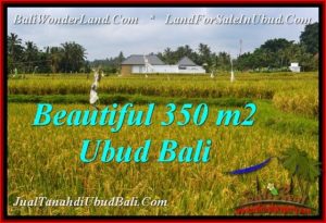 Beautiful UBUD LAND FOR SALE TJUB540