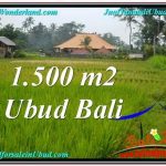 Affordable PROPERTY LAND SALE IN UBUD TJUB558