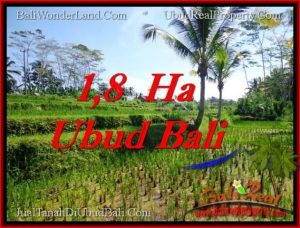 Exotic PROPERTY LAND IN UBUD FOR SALE TJUB553