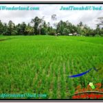 Exotic PROPERTY LAND IN UBUD FOR SALE TJUB564