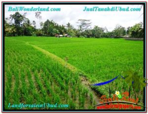 Exotic PROPERTY LAND IN UBUD FOR SALE TJUB564