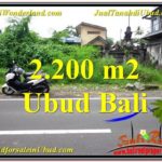 FOR SALE Beautiful PROPERTY 2,200 m2 LAND IN Sentral Ubud TJUB565