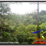 Exotic LAND FOR SALE IN UBUD TJUB569