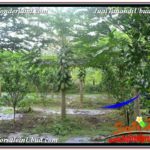 Magnificent LAND IN UBUD FOR SALE TJUB571