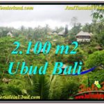Beautiful 2,100 m2 LAND SALE IN UBUD BALI TJUB572