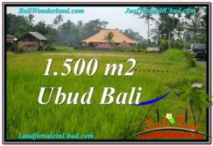 FOR SALE LAND IN Ubud Tampak Siring BALI TJUB558