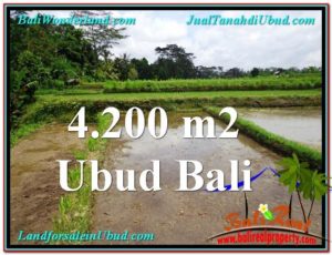 Exotic LAND FOR SALE IN UBUD TJUB561