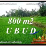 Exotic LAND FOR SALE IN UBUD TJUB581