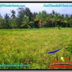 Magnificent LAND IN UBUD FOR SALE TJUB583