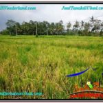 Magnificent LAND IN UBUD FOR SALE TJUB583