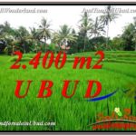 Affordable PROPERTY LAND SALE IN UBUD TJUB587