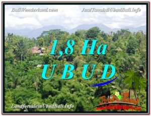 FOR SALE Exotic PROPERTY LAND IN UBUD TJUB589