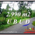 Magnificent PROPERTY LAND FOR SALE IN UBUD BALI TJUB591