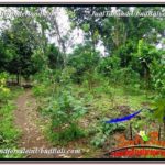 Magnificent PROPERTY LAND FOR SALE IN UBUD BALI TJUB591