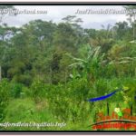 Beautiful PROPERTY Ubud Tegalalang 2,800 m2 LAND FOR SALE TJUB592