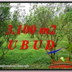 Beautiful PROPERTY LAND IN UBUD BALI FOR SALE TJUB593