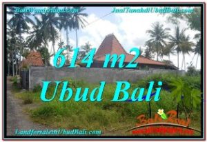 FOR SALE Affordable PROPERTY LAND IN Sentral Ubud BALI TJUB622