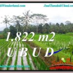Affordable PROPERTY 1,822 m2 LAND SALE IN UBUD BALI TJUB574
