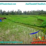 Exotic PROPERTY Ubud Payangan 920 m2 LAND FOR SALE TJUB575