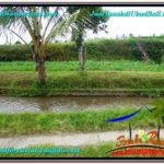 Exotic PROPERTY Ubud Payangan 920 m2 LAND FOR SALE TJUB575