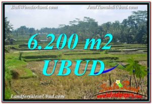 Ubud Payangan BALI LAND FOR SALE TJUB631