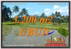 UBUD 3,200 m2 LAND FOR SALE TJUB628