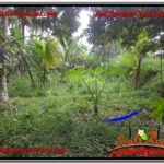 FOR SALE Exotic 1,000 m2 LAND IN UBUD TJUB604