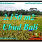 Affordable PROPERTY Ubud Tegalalang BALI LAND FOR SALE TJUB606