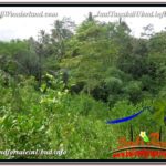 FOR SALE Magnificent PROPERTY LAND IN UBUD TJUB609