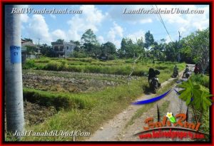 FOR SALE Magnificent LAND IN Sentral Ubud BALI TJUB664