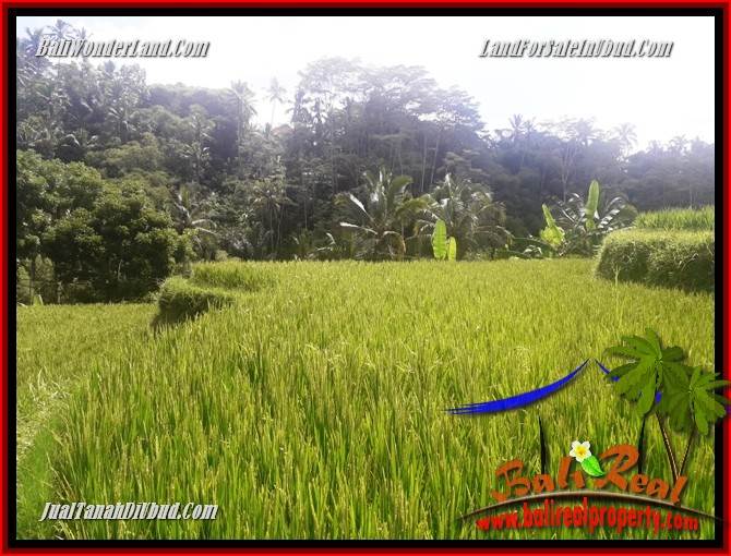 Magnificent Property Land for sale in Ubud Bali TJUB690