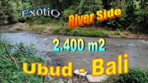 FOR SALE Affordable LAND in UBUD BALI TJUB847