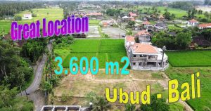 FOR SALE Affordable 3,600 m2 LAND in Sukawati Ubud TJUB836