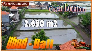 Beautiful Ubud BALI 2,680 m2 LAND for SALE TJUB855