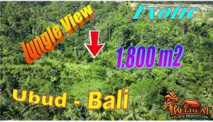 FOR SALE Cheap property LAND in Ubud Tegalalang TJUB872