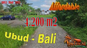 Exotic LAND in Sukawati Ubud for SALE TJUB868
